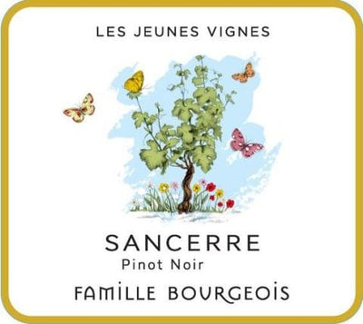 Henri Bourgeois Les Jeunes Vignes Sancerre Rose 2020 - 750ml