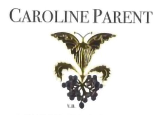 Caroline Parent Morey, Saint Denis 2017 - 750ml