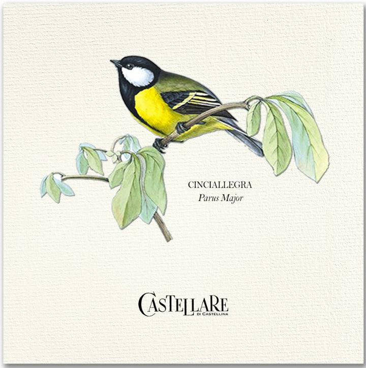 castellare-chianti-classico-