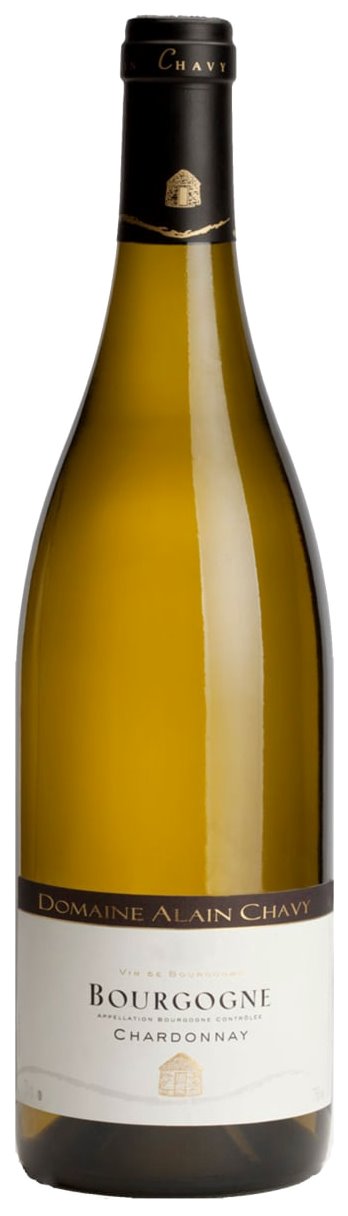 Domaine Alain Chavy Bourgogne Blanc 2022 - 750ml