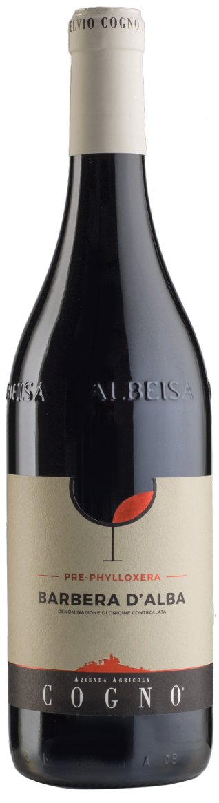 Elvio Cogno Pre Phylloxera Barbera D' Alba 2022 - 750ml