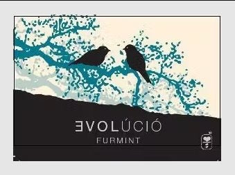 Evolucio Dry Furmint Tokaj - 750ml