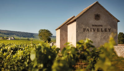 High-End Wines of Burgundy Tasting