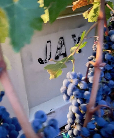 Jax Napa Winery Tasting w/ Special Guest Dan Parrot(CEO)