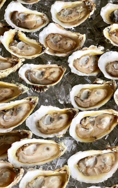 Lost Coast Oyster Company - Rawsome Bar Pop-Up