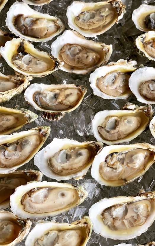 Lost Coast Oyster Company - Rawsome Bar Pop-Up