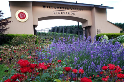 Willamette Valley Vineyards Tasting