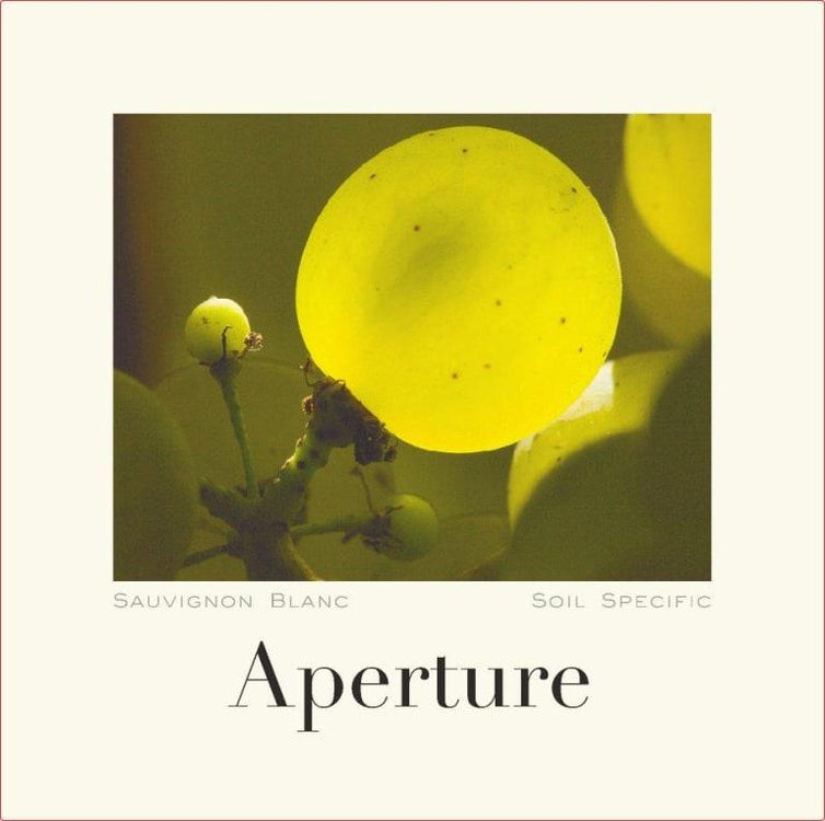Aperture Sauvignon Blanc 2020 - 750ml
