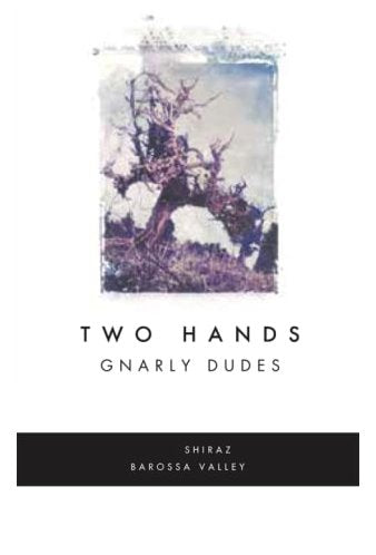 Two Hands Gnarly Dudes Shiraz 2020 - 750ml