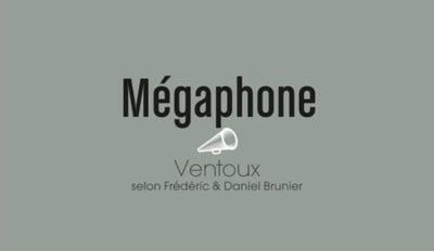 Vignobles Brunier Megaphone Rouge 2020 - 750ml